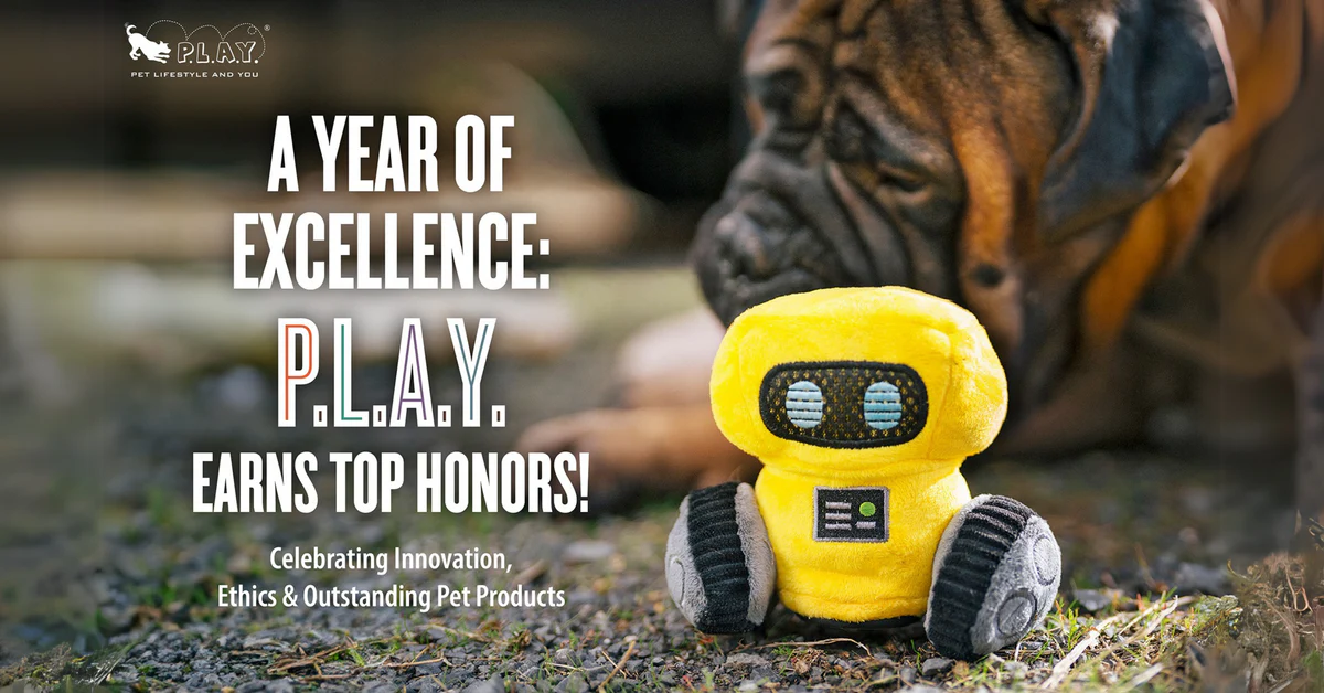 P.L.A.Y. Honored With the 2024 BBB Torch Award for Ethics & More! – Play Pet Brands