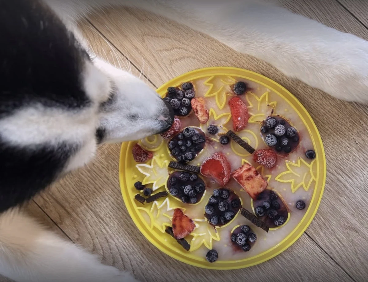 Easy Lick Mat Recipes for Dogs – Play Pet Brands