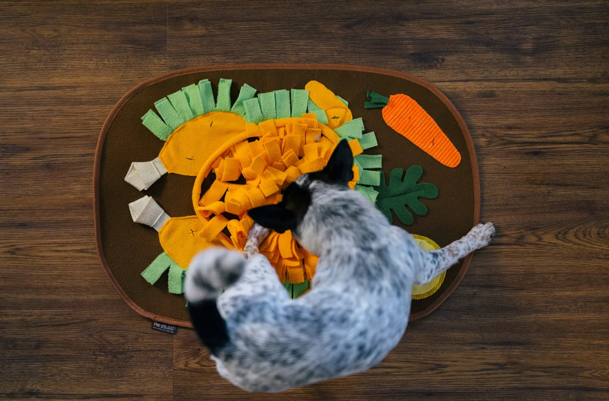 Must-Have Enrichment Pet Toys for a Stress-Free Holiday Season – Play Pet Brands
